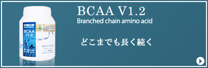 BCAA V1.2