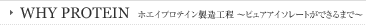 �ۥ����ץ��ƥ�����¤�������ԥ奢�������졼�Ȥ��Ǥ���ޤǡ�