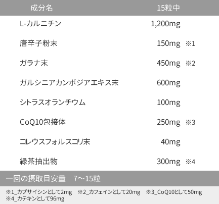 ファインラボ FINAL BURN ファイナルバーン 225粒