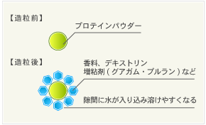 造粒後・造粒前