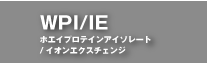 WPI/IE ۥץƥ󥢥졼/󥨥