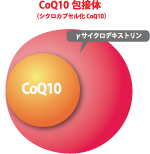 CoQ10ΤλȤ