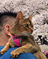 Ҳ KAZ