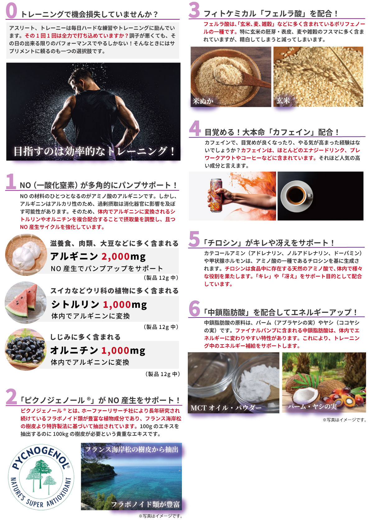ファイナルパンプNFA 商品ページ ｜ 株式会社ファイン・ラボ ～ Meet 