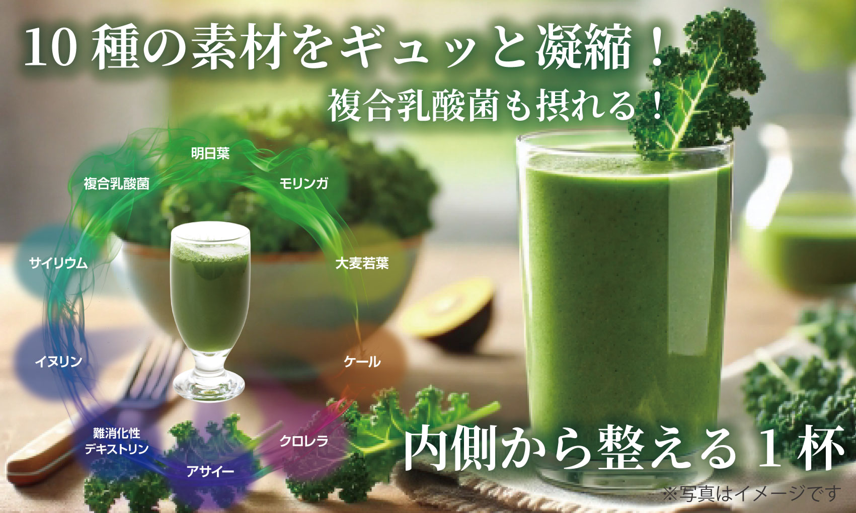 ファイナルグリーンマックス2 商品ページ ｜ 株式会社ファイン・ラボ